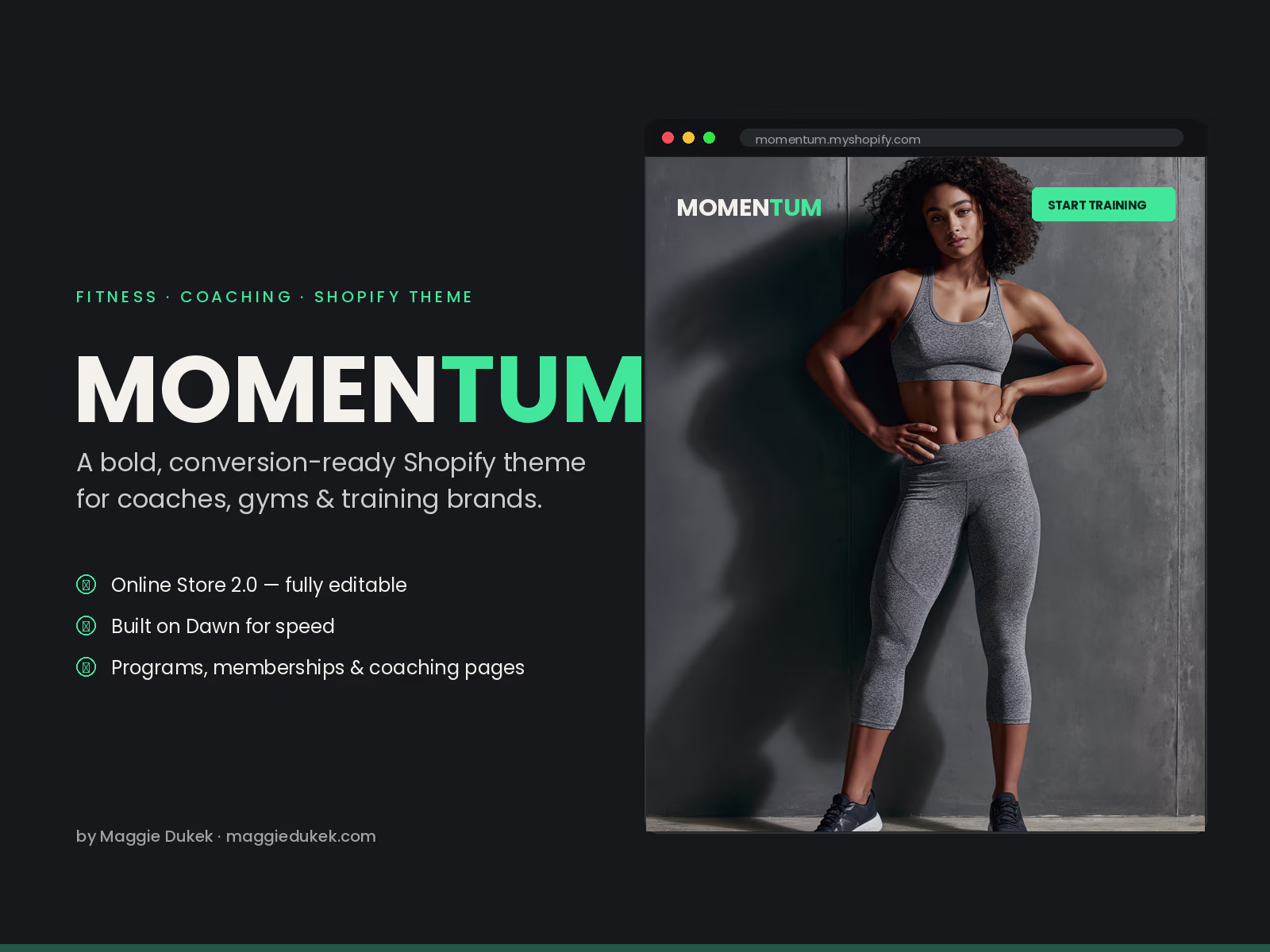Momentum Shopify theme preview